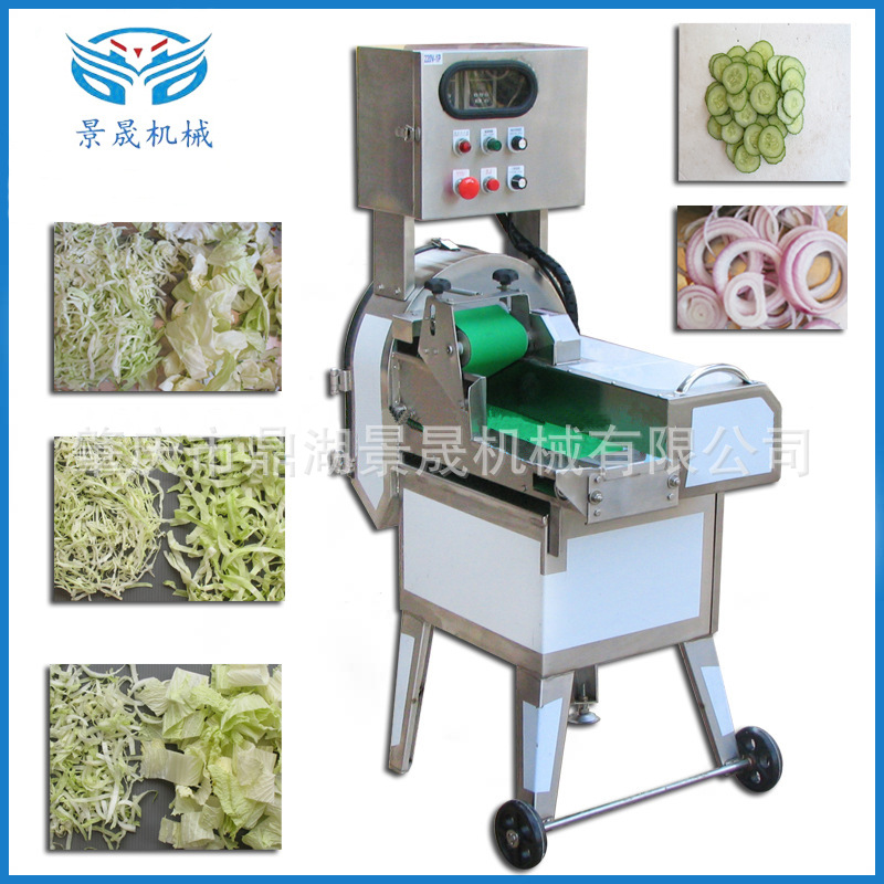 供應(yīng)DC-305雙變頻葉菜類切菜機(jī)