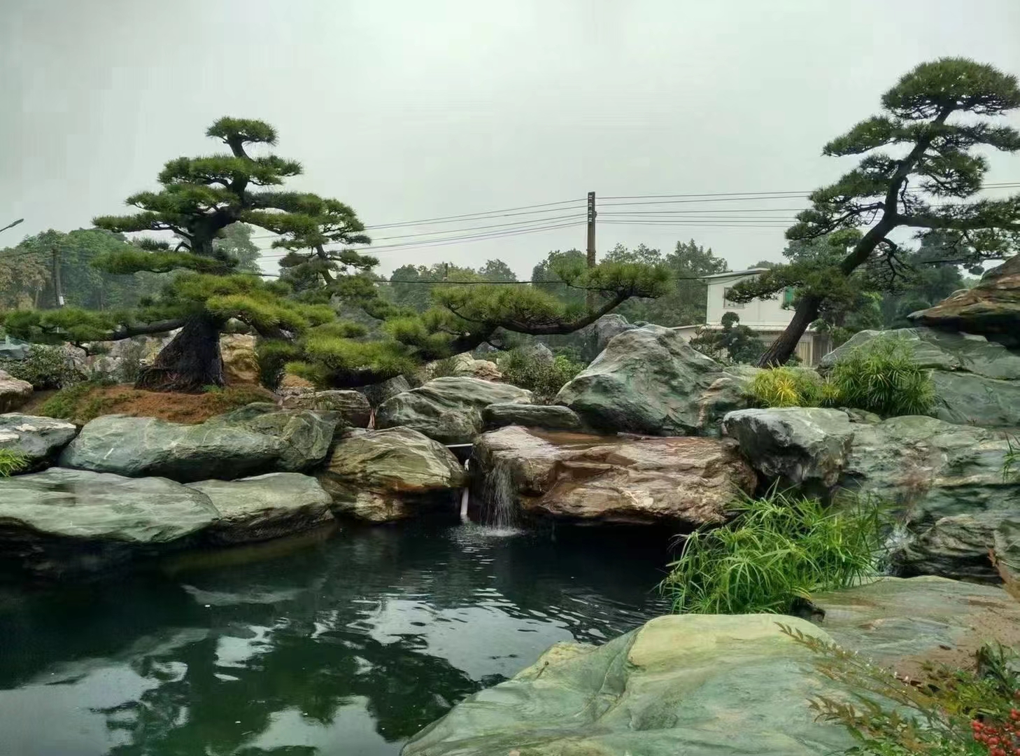 北京魚池凈化方案公司   朝陽魚池凈化哪家好