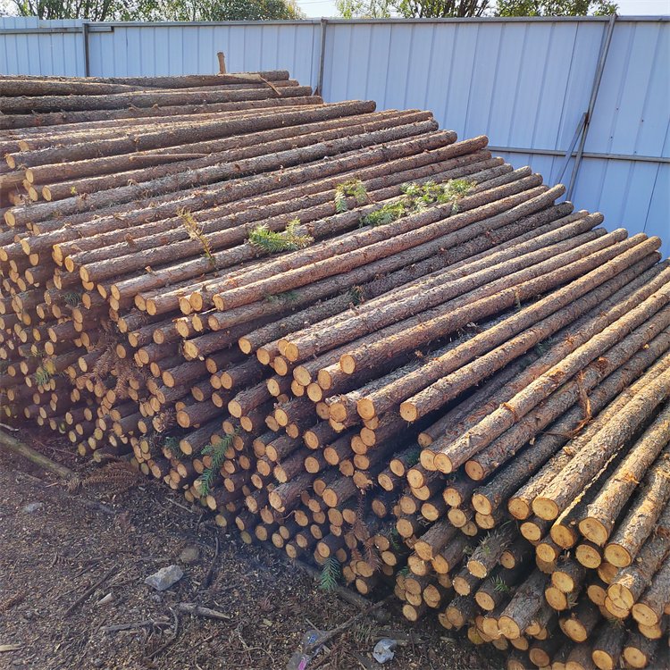 湖北杉木桿廠家-價格-供應-批發(fā)