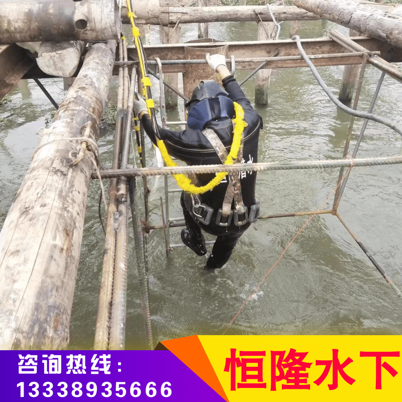 江蘇潛水作業(yè),潛水作業(yè)公司,潛水作業(yè)哪家好,潛水作業(yè)價(jià)格（江蘇恒隆水下工程有限公司）