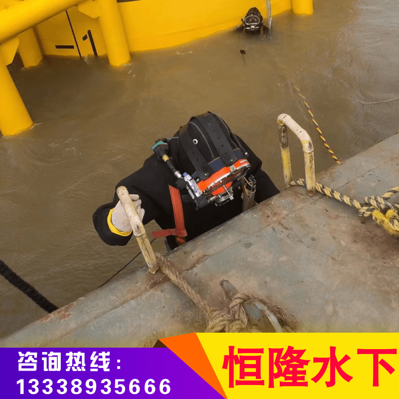 江蘇水下攝像作業(yè),水下攝像公司,水下攝像工程,微型水下攝像（江蘇恒隆水下工程有限公司）