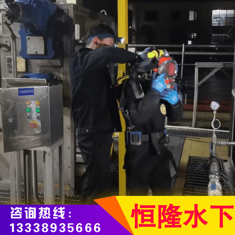 江蘇潛水作業(yè),潛水作業(yè)公司,潛水作業(yè)哪家好,潛水作業(yè)價(jià)格（江蘇恒隆水下工程有限公司）