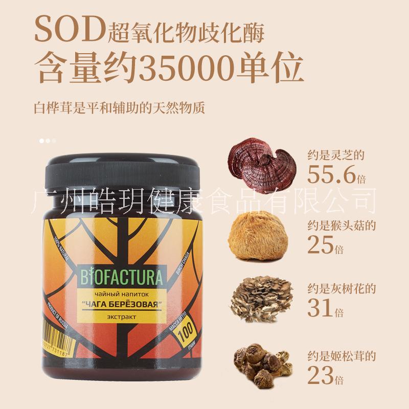 俄羅斯樺樹茸粉 白樺茸粉 俄羅斯碧歐楓樺樹茸精華粉100g 碧歐楓樺樹茸粉
