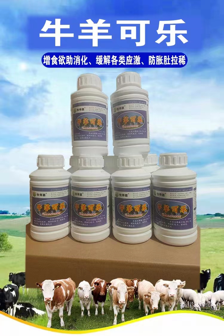 天津牧得惠廠家牛羊可樂預(yù)防牛中暑拉稀熱應(yīng)激調(diào)理胃腸道