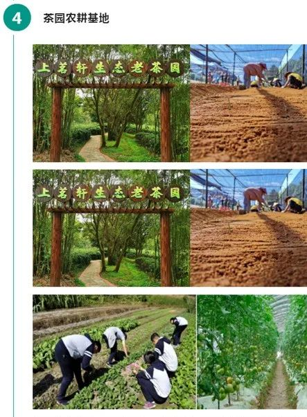 暑假福利！再不抓住就晚啦......