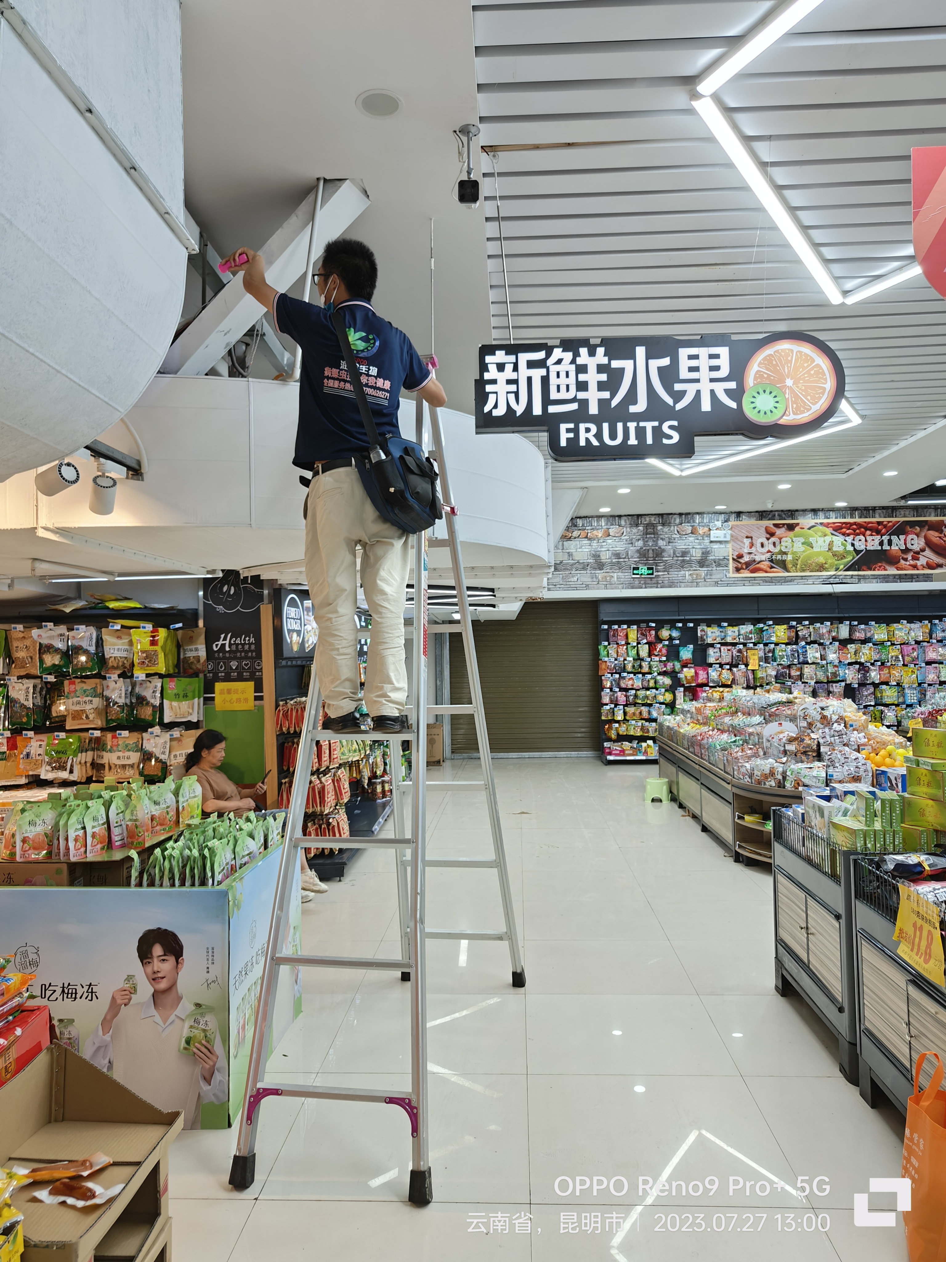 昆明官渡區(qū)滅蟑螂殺蟲-昆明滅鼠公司-殺蟲滅鼠服務公司電話-哪里好