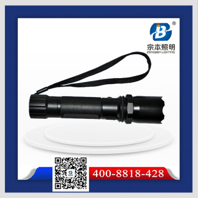 供應(yīng)YJ1030*電筒 紫光YJ1030*電筒