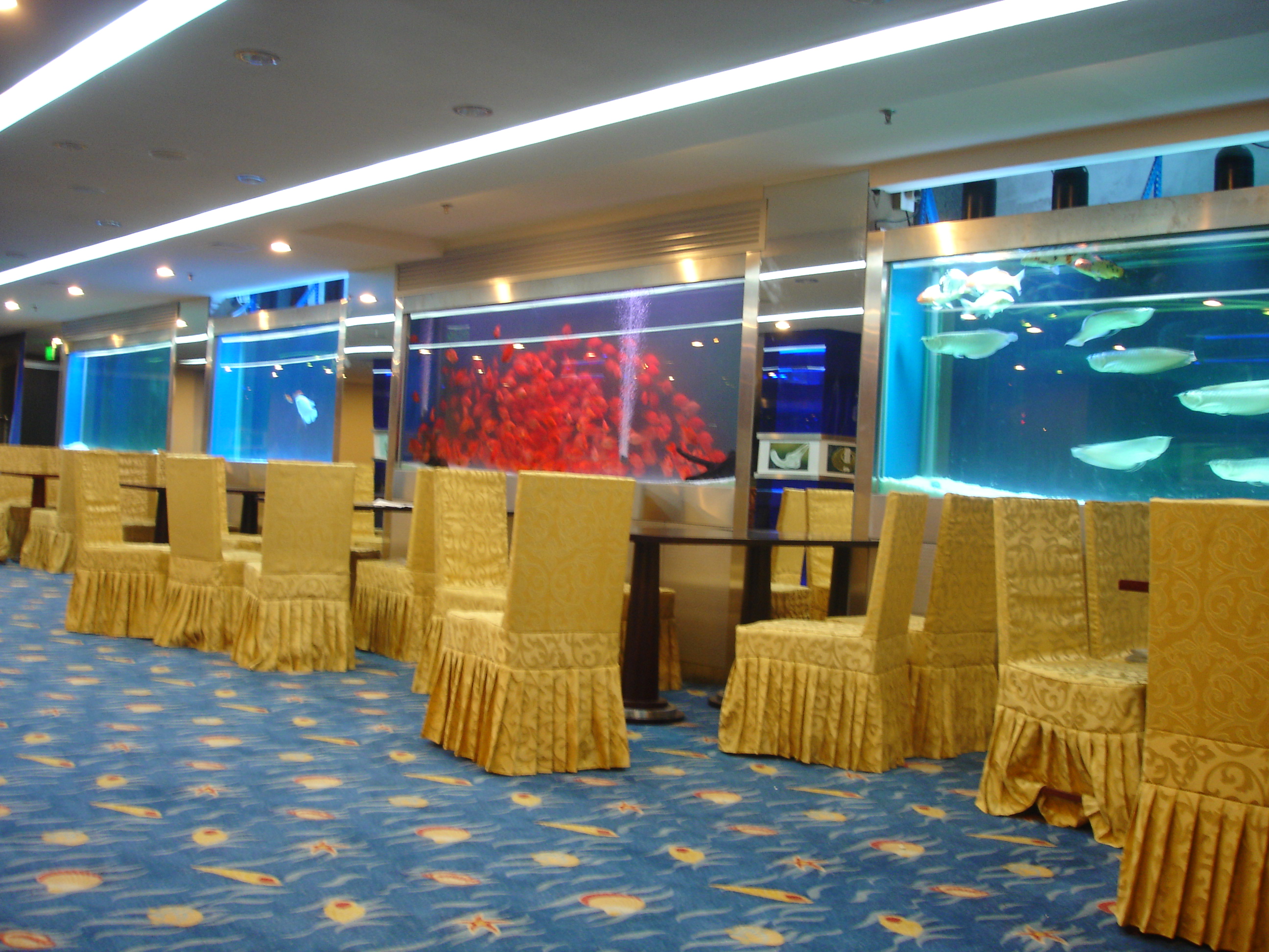 水族館設(shè)計(jì)_海洋館建造施工_亞克力魚缸一站式水族服務(wù)