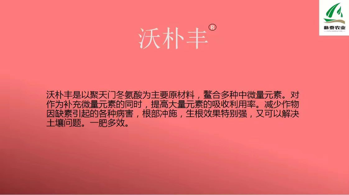 沃樸豐促進小麥分蘗肥