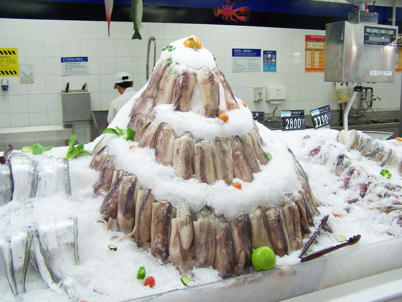 日產(chǎn)500kg片冰機 *節(jié)能 廠家直銷