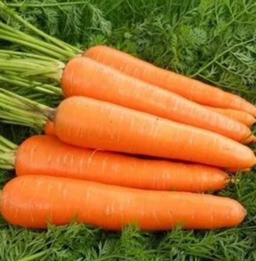 生鮮蔬菜配送工廠企業(yè)事業(yè)單位學(xué)校*職工食堂