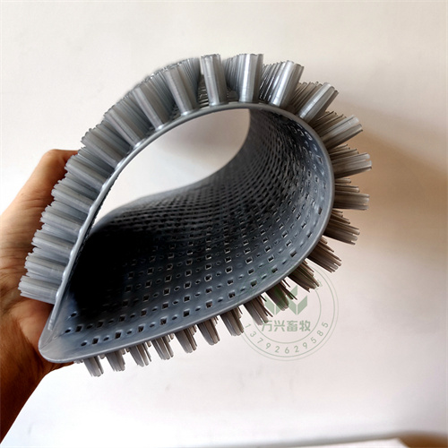 供應(yīng)萬(wàn)興畜牧蛋雞窩塑料草墊 規(guī)格35×29.5×2cm