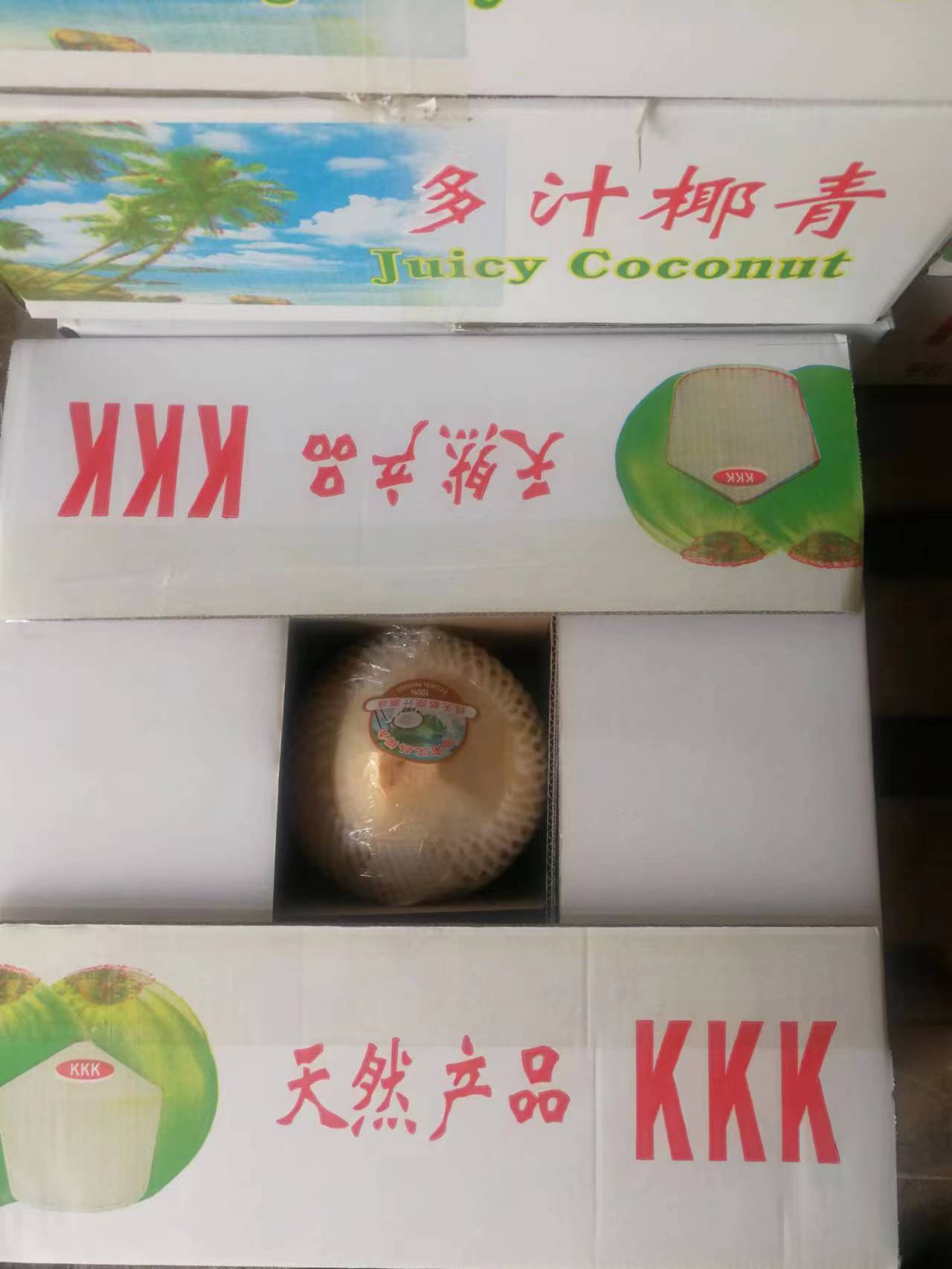天然椰子價(jià)格-天然椰子廠家-天然椰子銷售 天然椰子