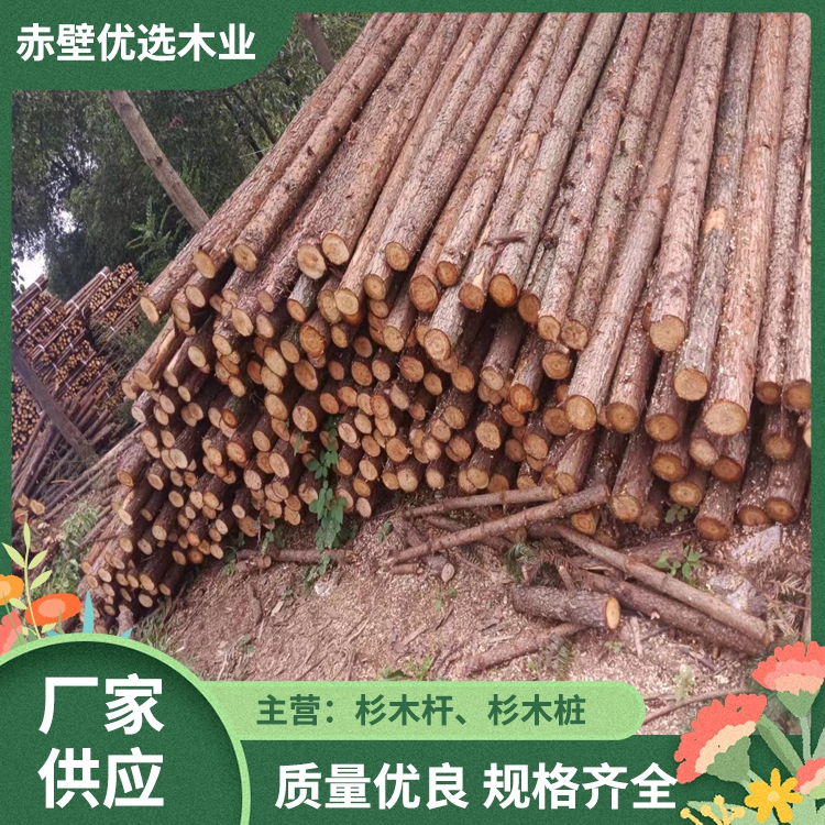 河南杉木桩批发  杉木桩 松木桩 6米绿化支撑杆