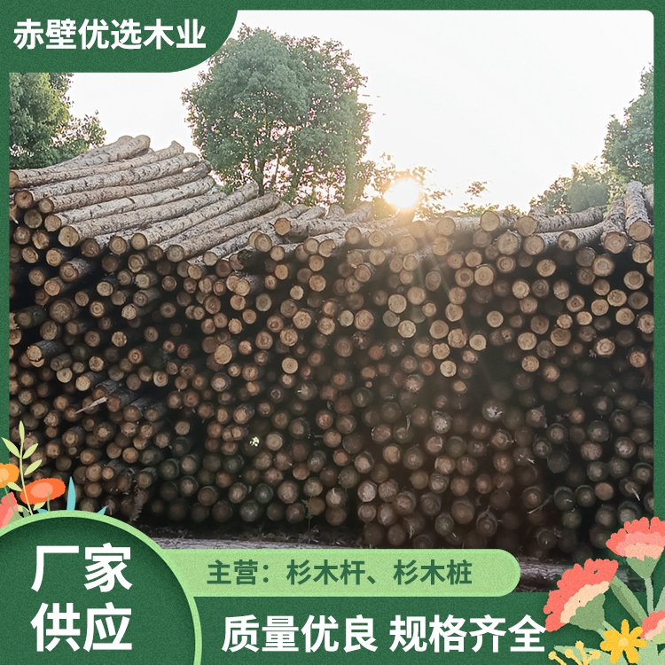 2米杉木杆 小头杉木杆 建筑桥梁打桩木 市政园林绿化支撑架