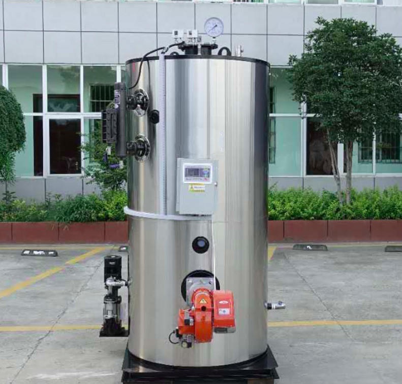 福建立式燃?xì)庹羝l(fā)生器生產(chǎn)廠家 節(jié)能環(huán)保 支持定制