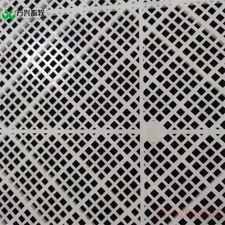 水產(chǎn)盤 網(wǎng)格塑料盤 肉串雞柳單凍盤