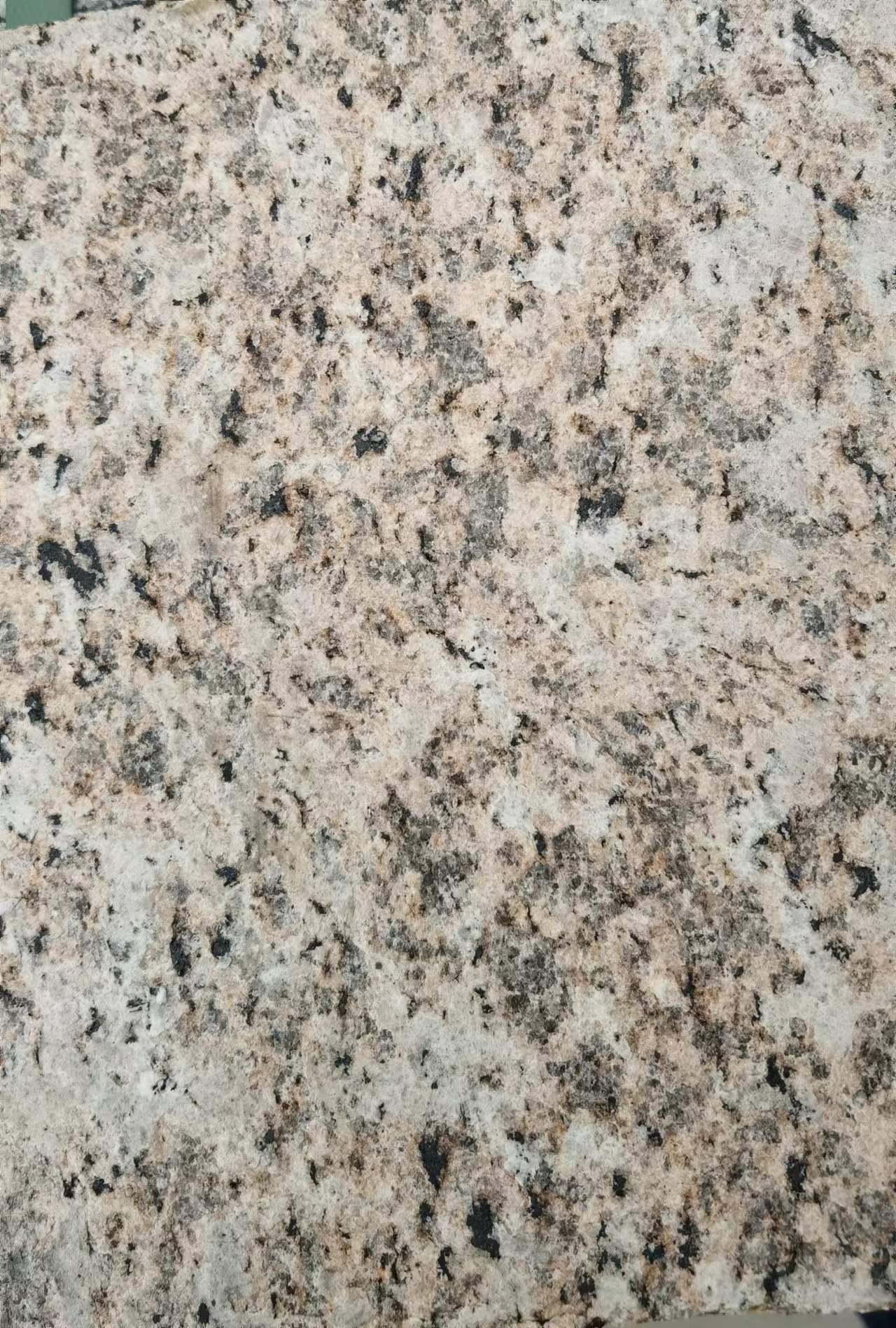 虎皮黃供應(yīng)商 虎皮黃