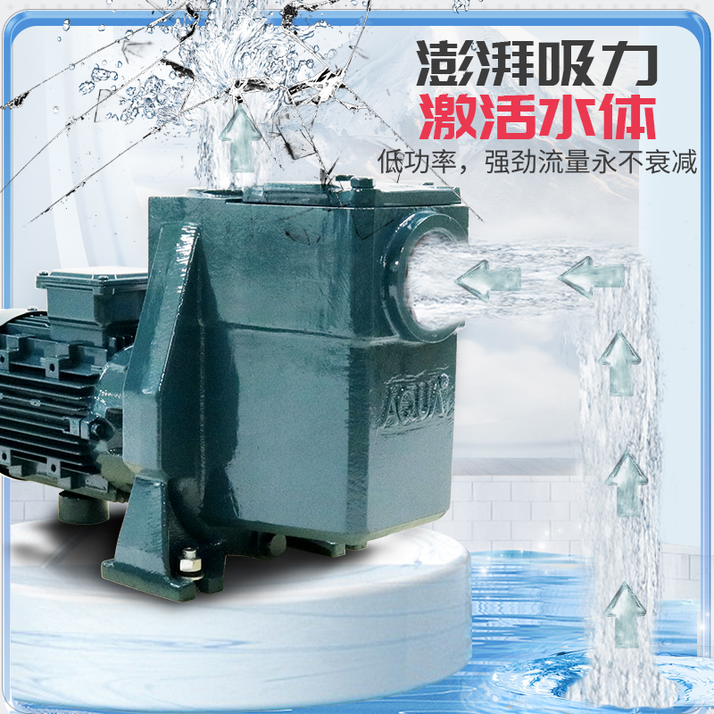 珠海愛克ats鐵泵哪家好 泳池循環(huán)過濾系統(tǒng)多少錢 家用泳池過濾設備安裝