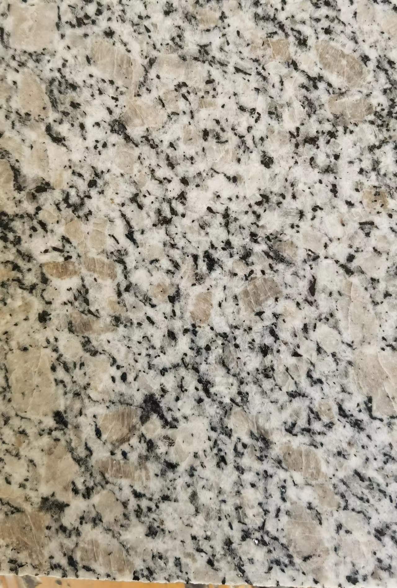 珍珠花石材 珍珠花廠家