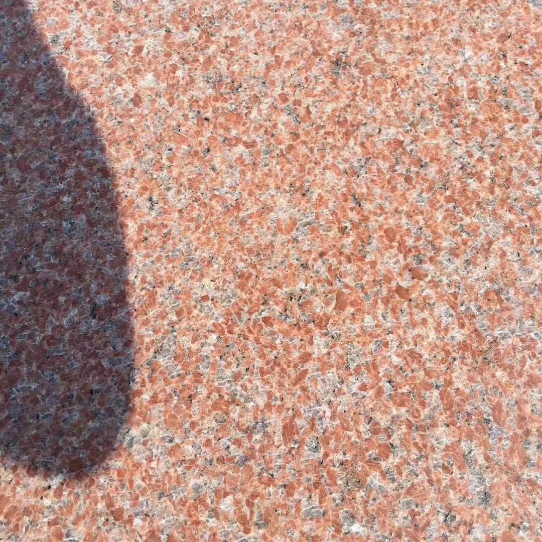 石島紅8號(hào)價(jià)格  石島紅8號(hào)廠家