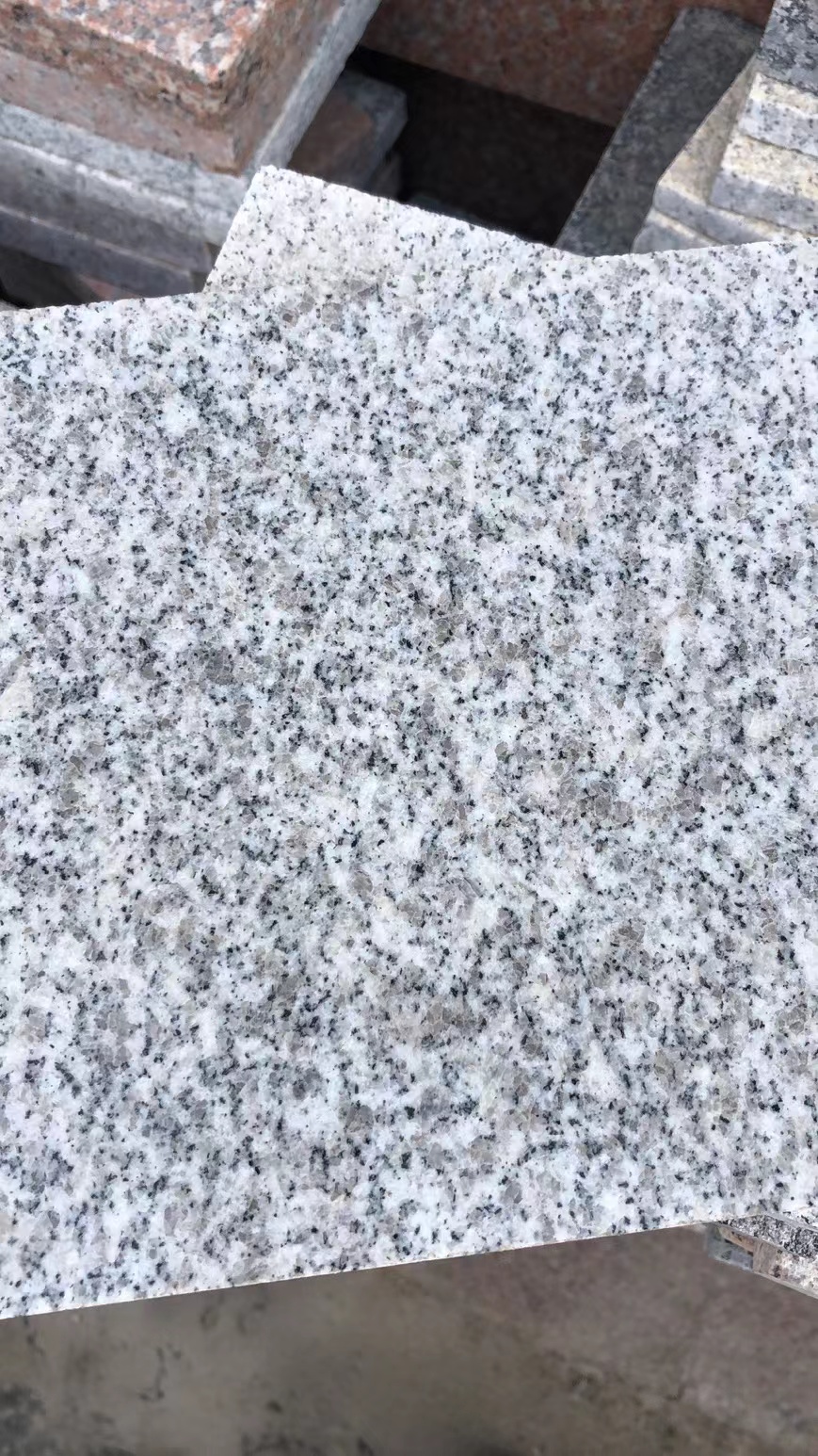 山東白麻石材  山東白麻價格