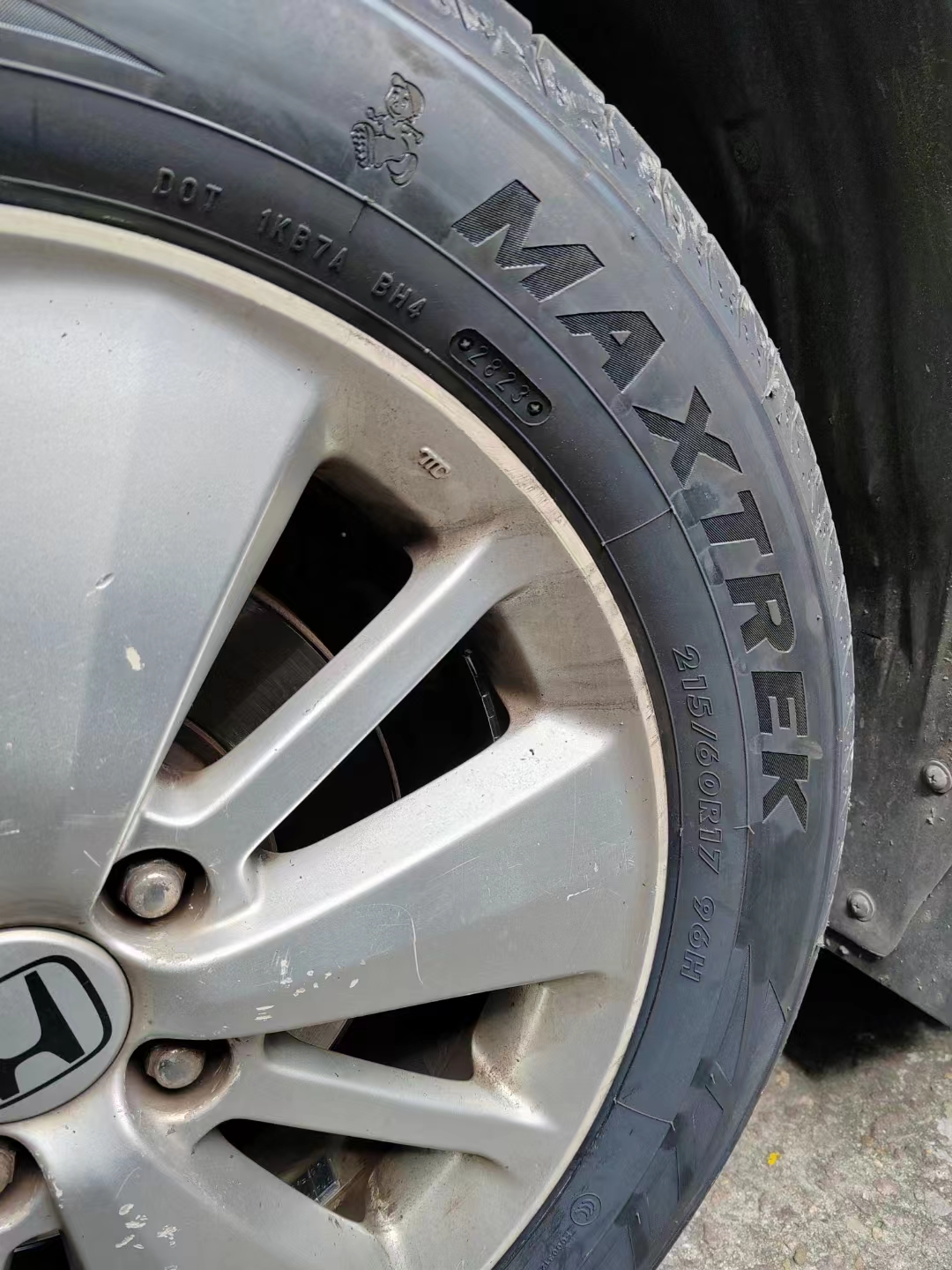 越野毛毛蟲輪胎廠家 供應(yīng)商 越野毛毛蟲輪胎 廣東越野毛毛蟲輪胎