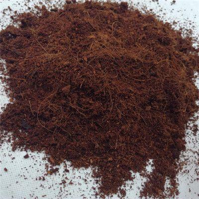 天津棕櫚粕進(jìn)口報關(guān)代理公司