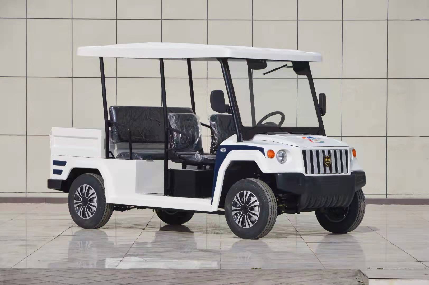 4-6座，電動*，電瓶*， 電瓶安保*廠家制造商