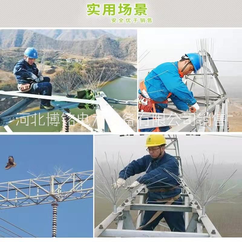 博銘達 電力線路防鳥刺鐵塔鳥刺不銹鋼防鳥刺彈簧型防鳥刺驅(qū)鳥刺鍍鋅鳥器