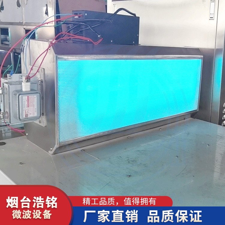 微波光氧廢氣處理設(shè)備 *光觸媒處理器廠家供應(yīng)