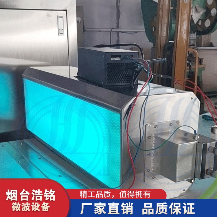 微波光氧廢氣處理設(shè)備 *光觸媒處理器廠家供應(yīng)