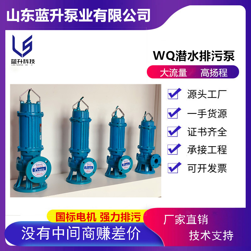 供應(yīng)甘肅潛污泵廠家 蘭州潛水排污泵定制 -甘肅攪勻潛污泵廠家-生產(chǎn)廠家-價(jià)格  （山東藍(lán)升）
