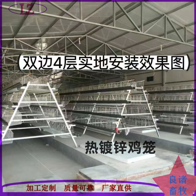 層疊蛋雞籠養(yǎng)設(shè)備 框架肉雞籠子 大階梯養(yǎng)殖雞籠 良諸定制