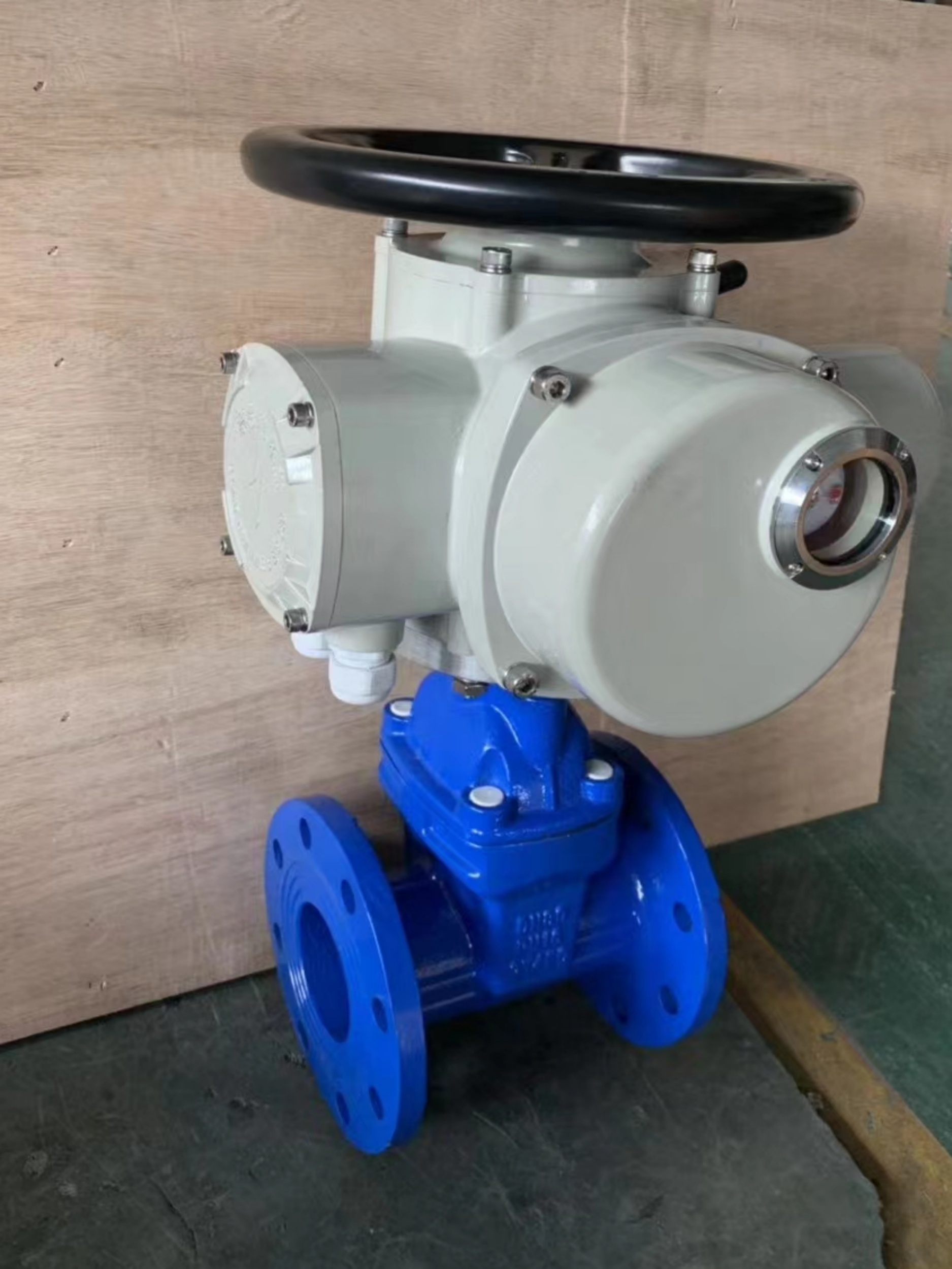 DZW250-24多回轉電動執(zhí)行機構 戶外型閥門電動裝置 電動執(zhí)行器