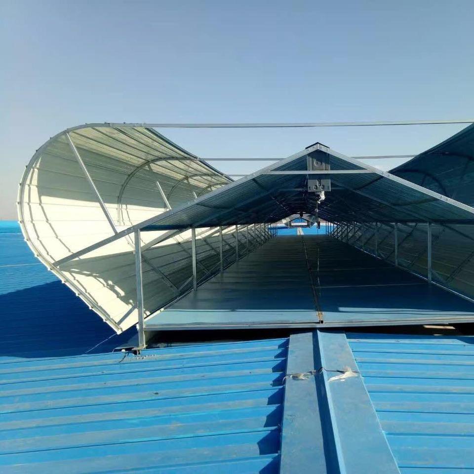 09j621-2電動采光排煙天窗 09j621-2電動采光排煙天窗屋頂通風氣樓廠