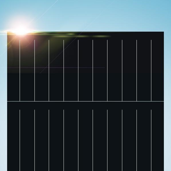 天合系列 TSM-DEG20C.20 585~605W 光伏組件