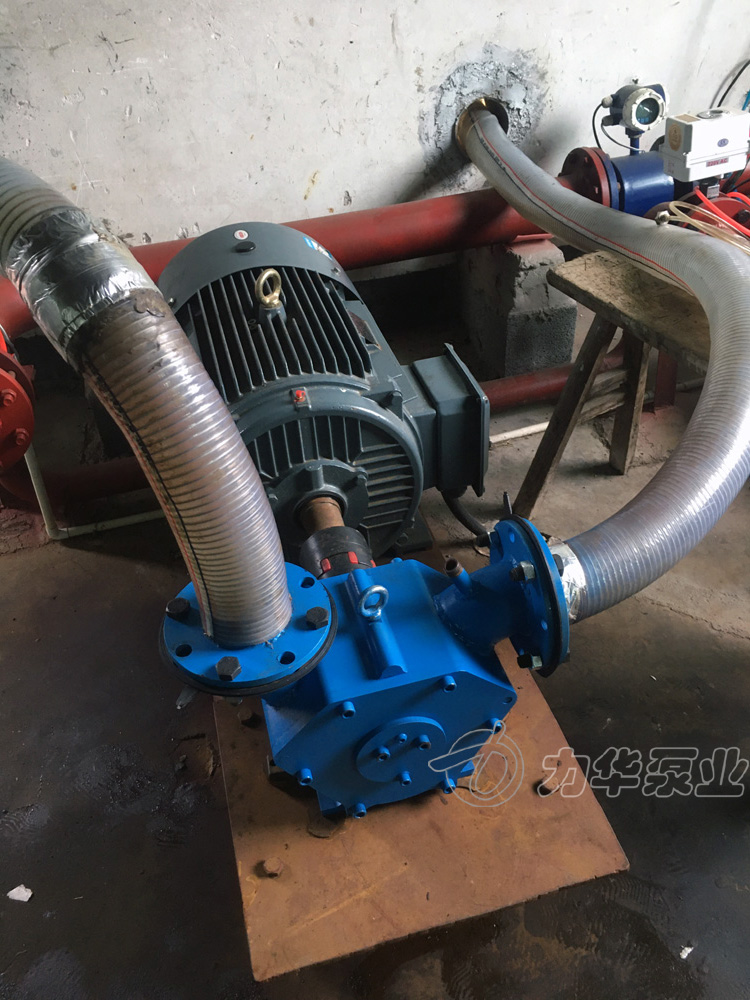 供應(yīng)粘稠污泥泵-力華無(wú)堵塞轉(zhuǎn)子泵