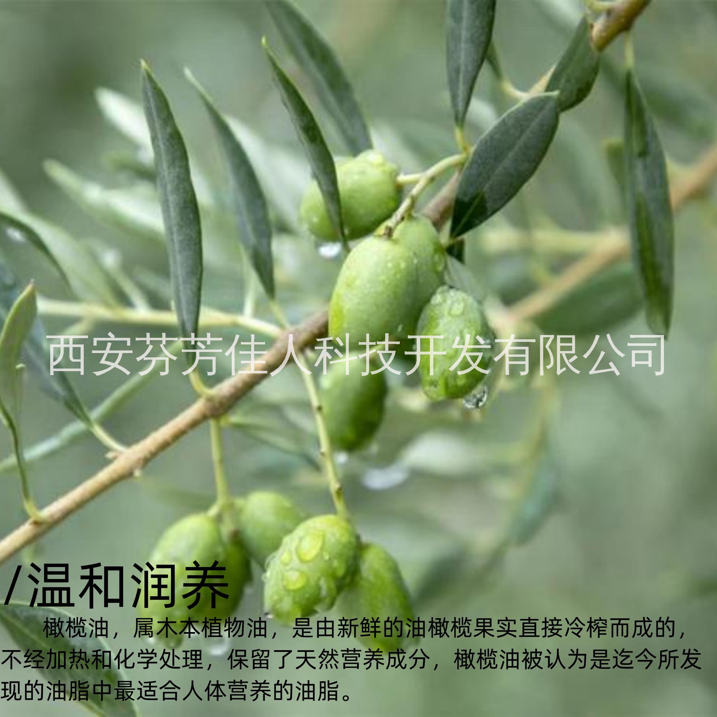 西安芬芳佳人 橄欖油 基礎(chǔ)油基底精油 原精潤膚舒緩按摩芳療