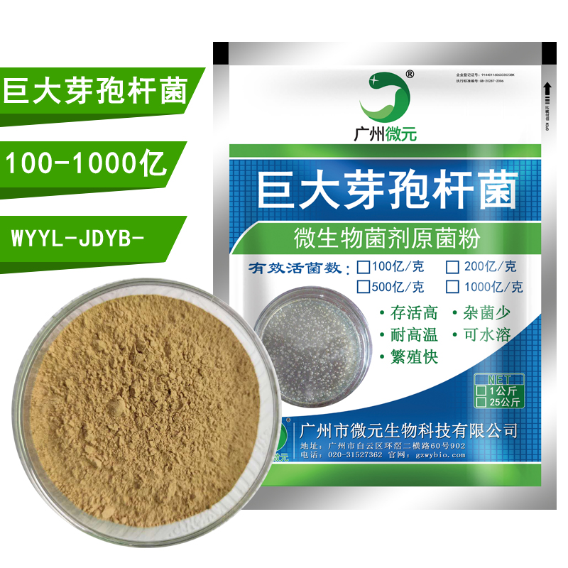 巨大芽孢桿菌1000億/克 巨大芽孢桿菌生物肥料功能菌 農(nóng)用微生物菌劑