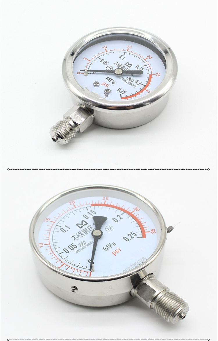 華爾威不銹鋼壓力表Y-250BF Y-250BFZ 不銹鋼壓力表Y-250BF