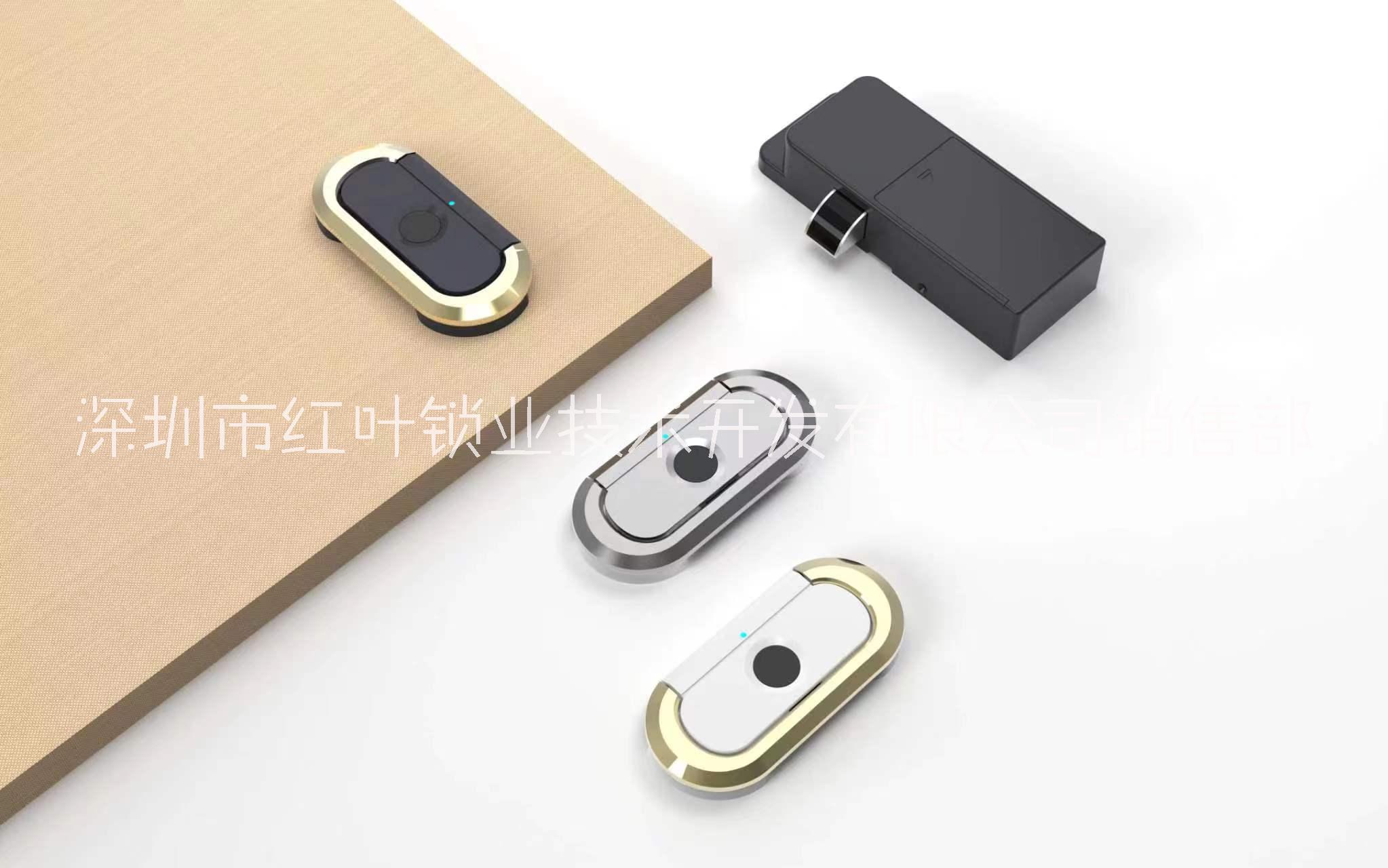 深圳紅葉指紋抽屜鎖 指紋文件柜鎖 指紋儲(chǔ)物柜鎖