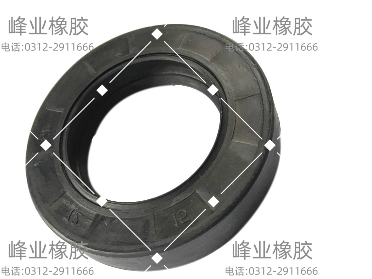 防塵防濺水骨架油封可定制大批量 規(guī)格多樣