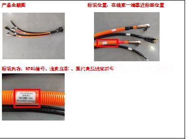 WG6210640483直流充電插座總成/油田修井機